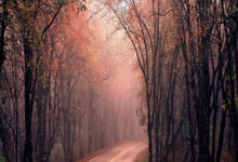 热刺主场大胜，继续稳固前四位置