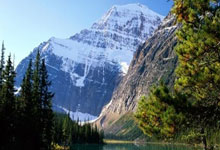 热刺主场大胜，继续稳固前四位置