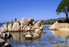 热刺主场大胜，继续稳固前四位置